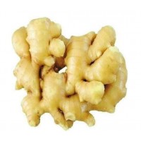 Healthy Spices Raw Material Instant Ginger Root Extract Powder