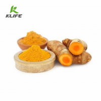 2020 New Plant Extract Turmeric Powder Processing Curcumin Turmeric Powder Price